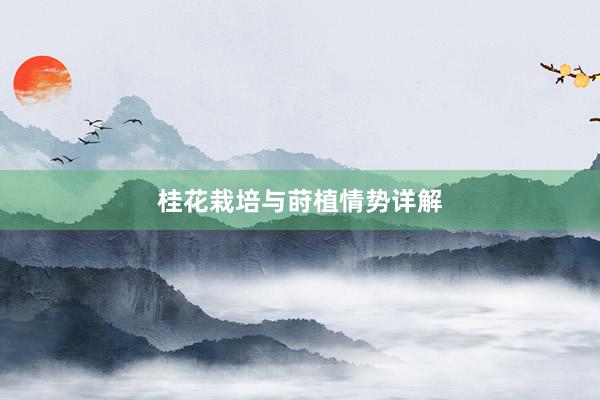 桂花栽培与莳植情势详解