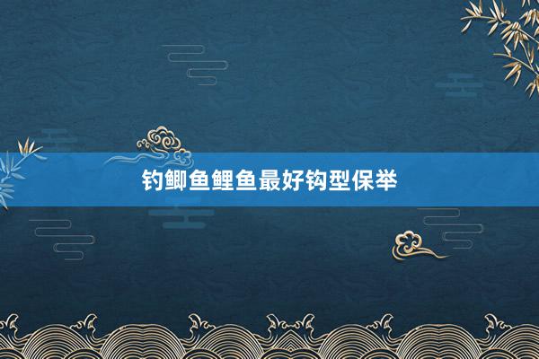钓鲫鱼鲤鱼最好钩型保举