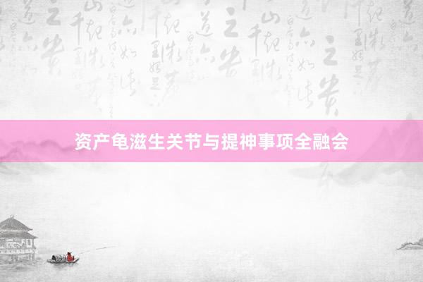 资产龟滋生关节与提神事项全融会